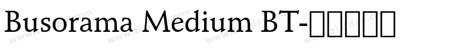 Busorama Medium BT字体转换